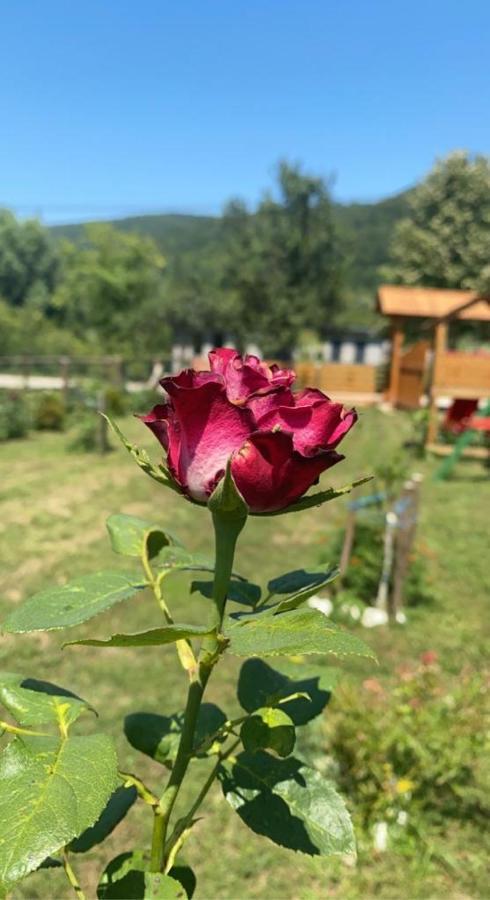 Villa Wooden House Ripac Bihać Esterno foto