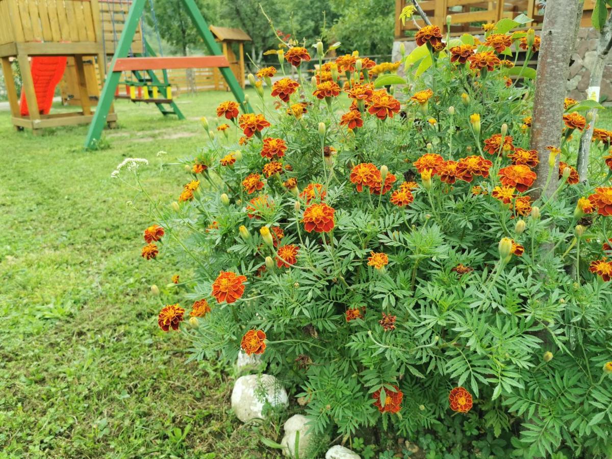 Villa Wooden House Ripac Bihać Esterno foto